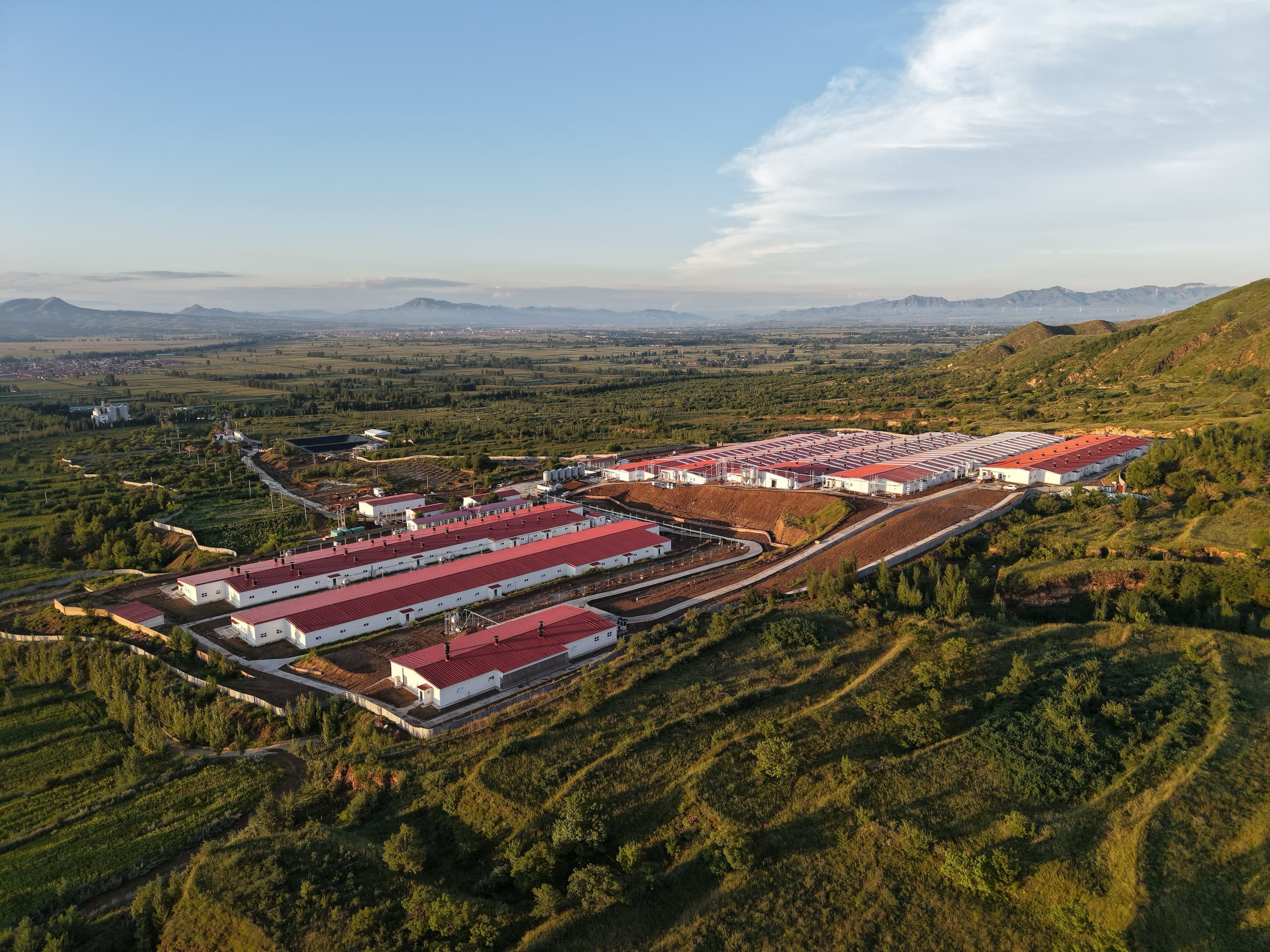 小黑豚基地