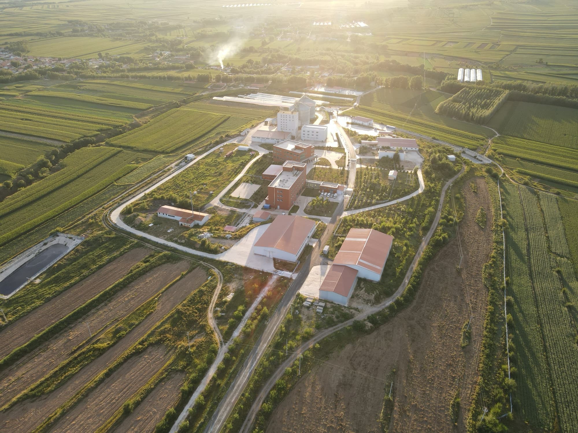 育种基地航拍