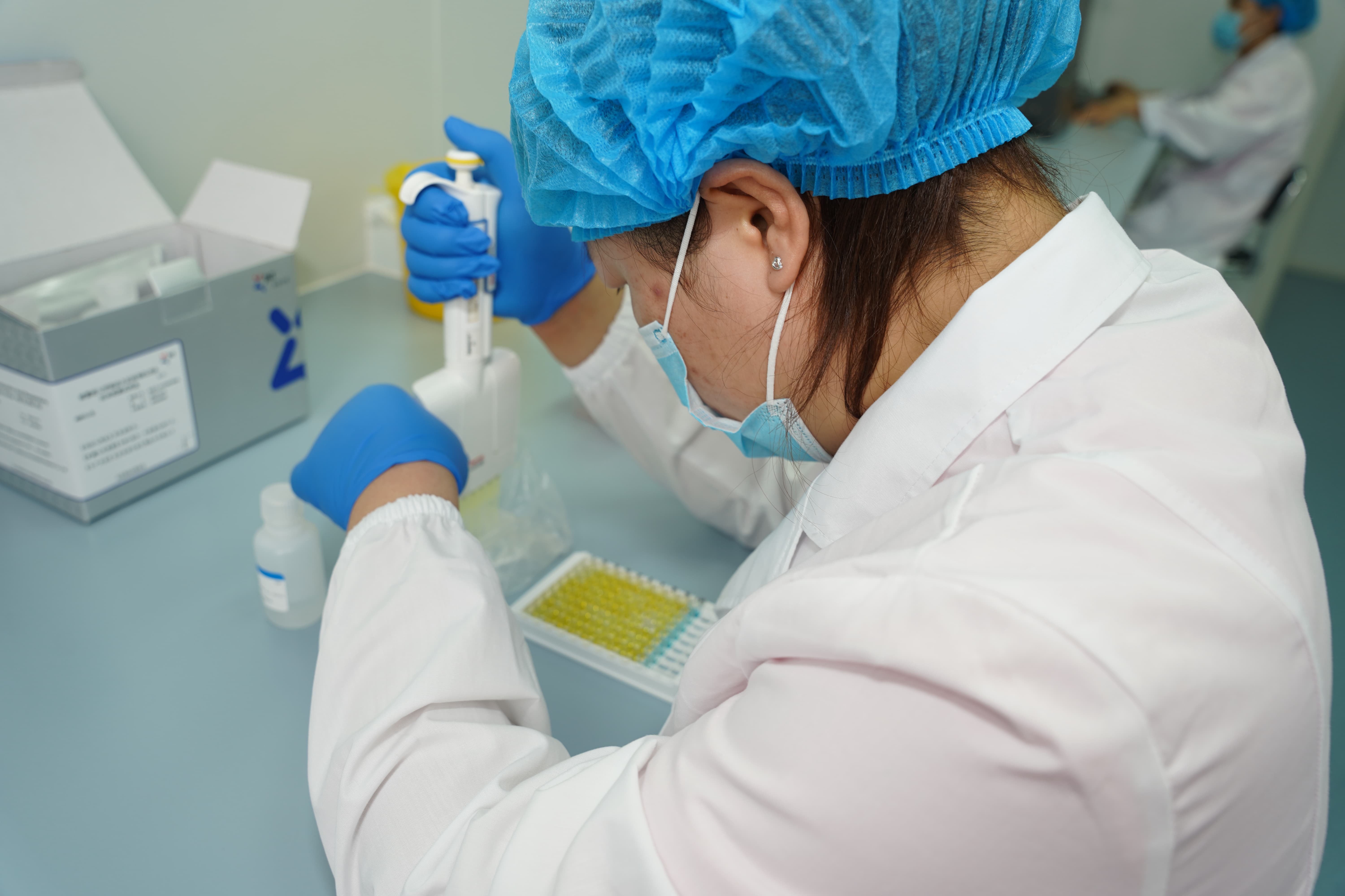 Standardized Testing and Production Workflow for 600,000 Doses of Premium Boar Semen