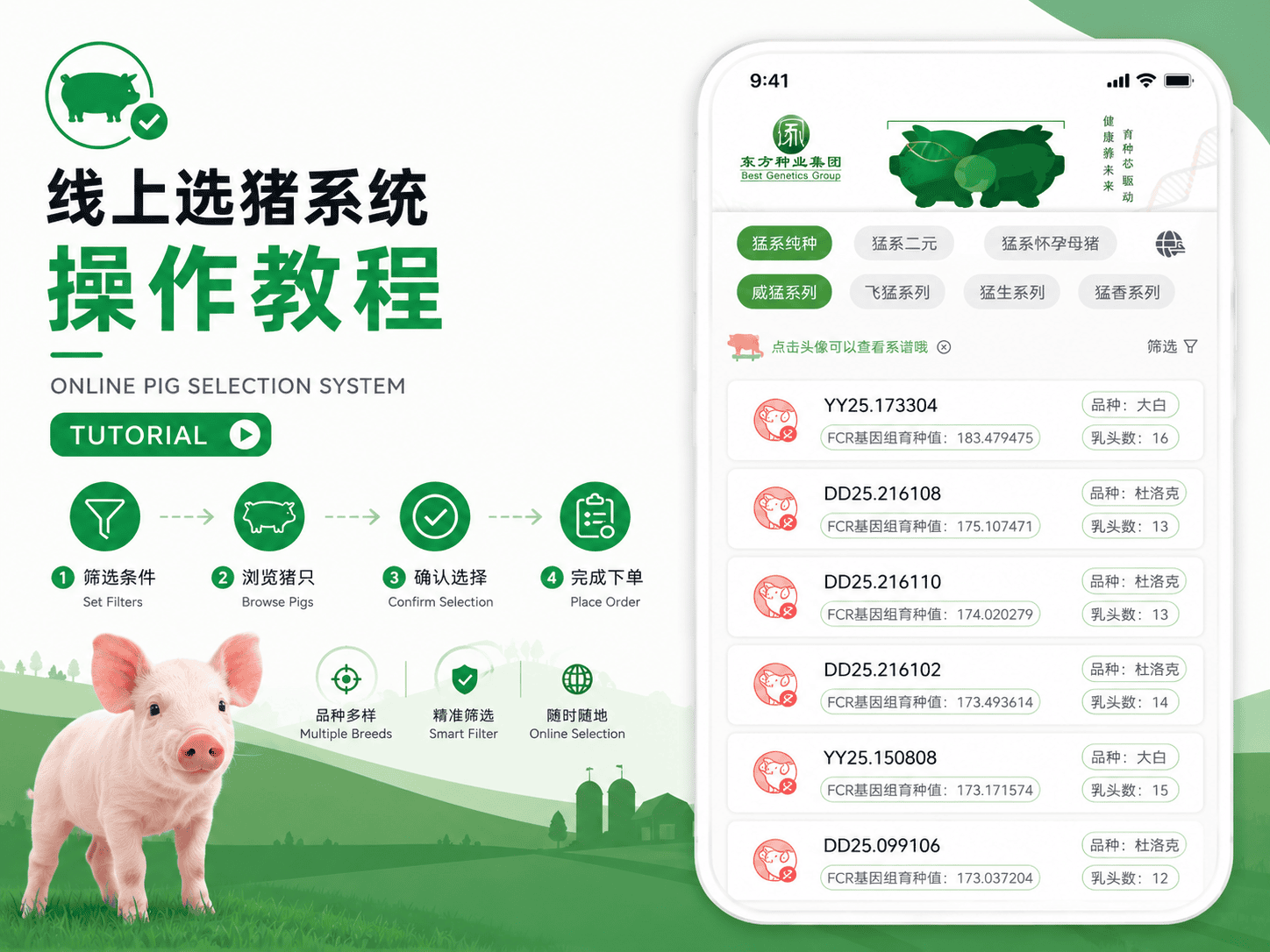 BGG Meng-Series Mini Program: Transparent and Precise Online Breeding Pig Selection